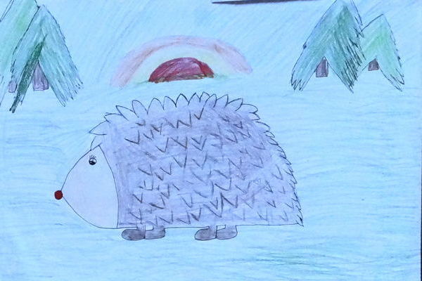 Igel