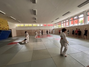 Judo Judo